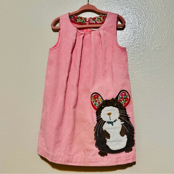 Mini Boden Other - Mini boden appliqué dress 2-3Y